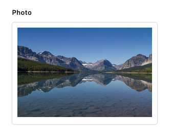 an image widget in an area field