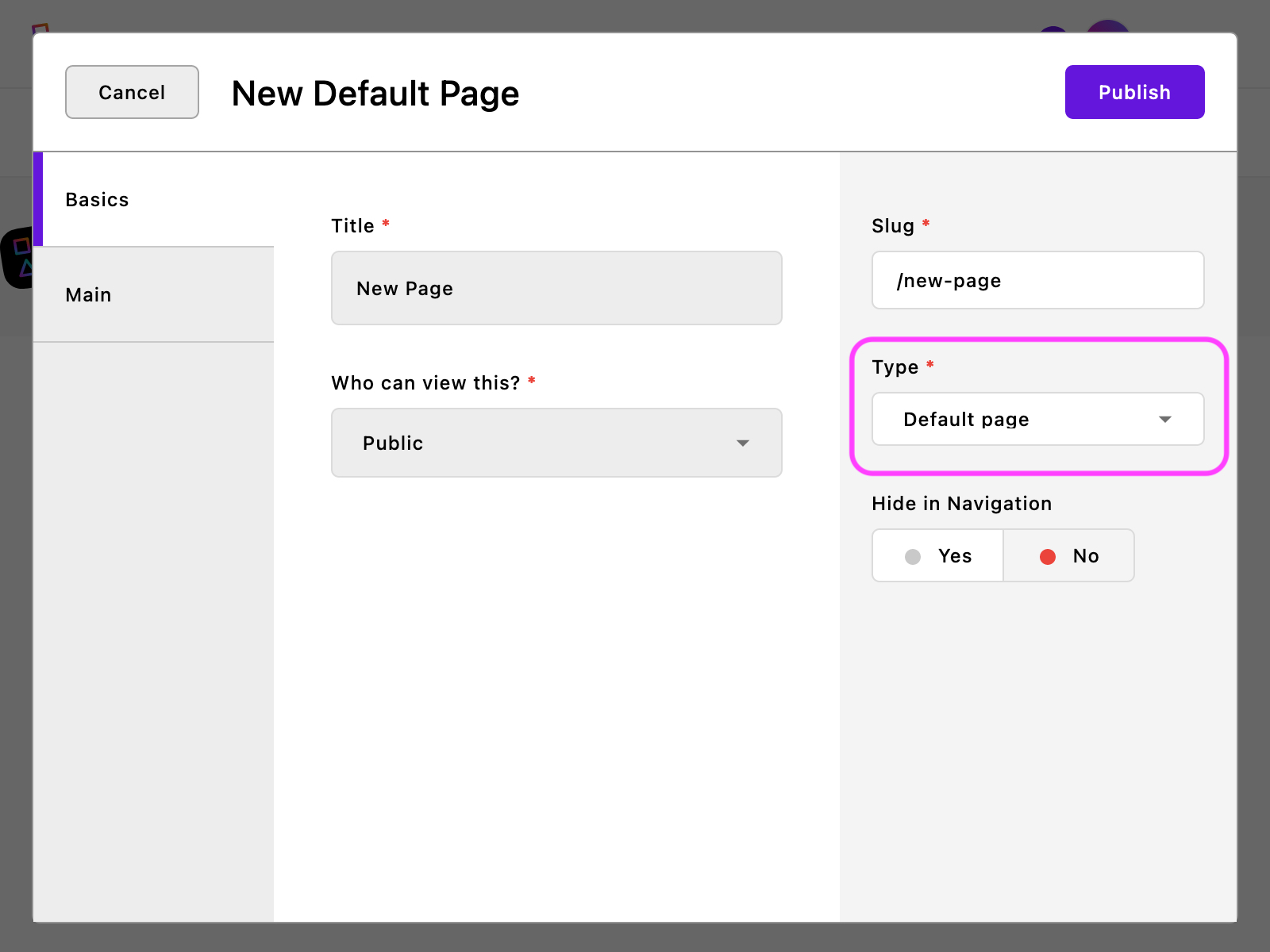 A page editing modal with the type field highlighted